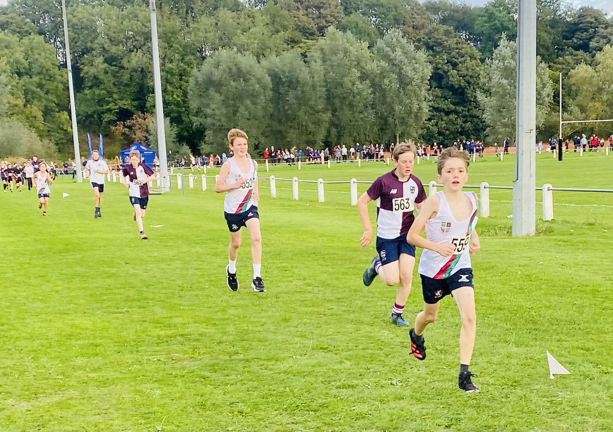 WGS Sport tweet media