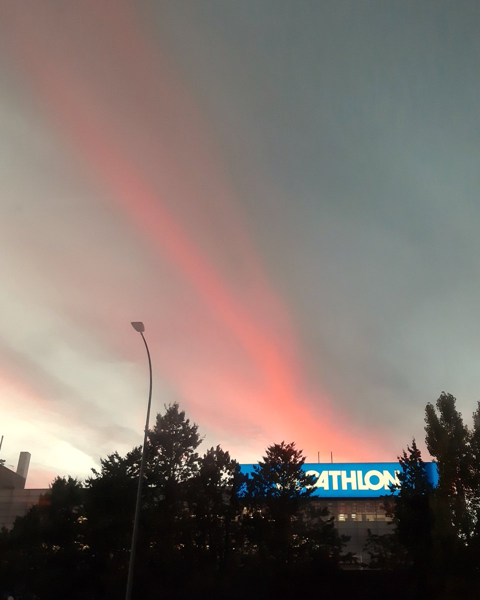 celesgalan64's tweet photo. 1. Viviendo la noticia #desdeelbus , el #atardecer de hoy, que pica, que rabia
😅😅😅 https://t.co/t4VQI8MAvn