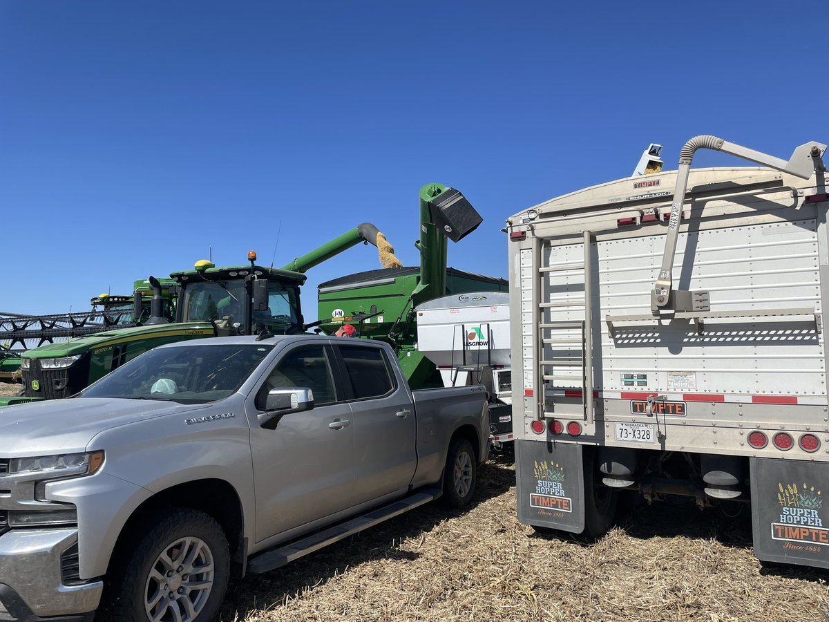 cattleNcrops83's tweet photo. First #ASGROW🌱soybean plot of #harvest22. @bk_franzen @DKAS_HP #BAYER4NE https://t.co/daEqc8fRCo