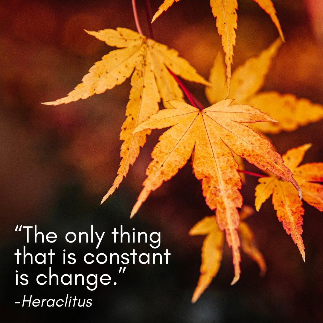 PPFlowyoga's tweet photo. Inspirations &amp; Reflections, friends: “The only thing that is constant is change.”-Heraclitus

#wisdom #reflection #inspiration #quote #change #constant https://t.co/2UB2UwgEIS