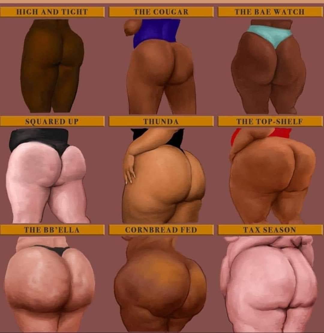 JosephCorduroy's tweet photo. #HappyHumpDay #AllBootysMatter https://t.co/GFt9GRgxz8