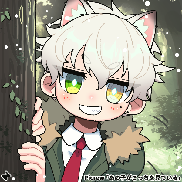 CaptainRayVT's tweet photo. Tampoco me taggearon pERO NO ME RESISTí. 1 gato no-perdido en el bosque. https://t.co/g6L1PhL7h6