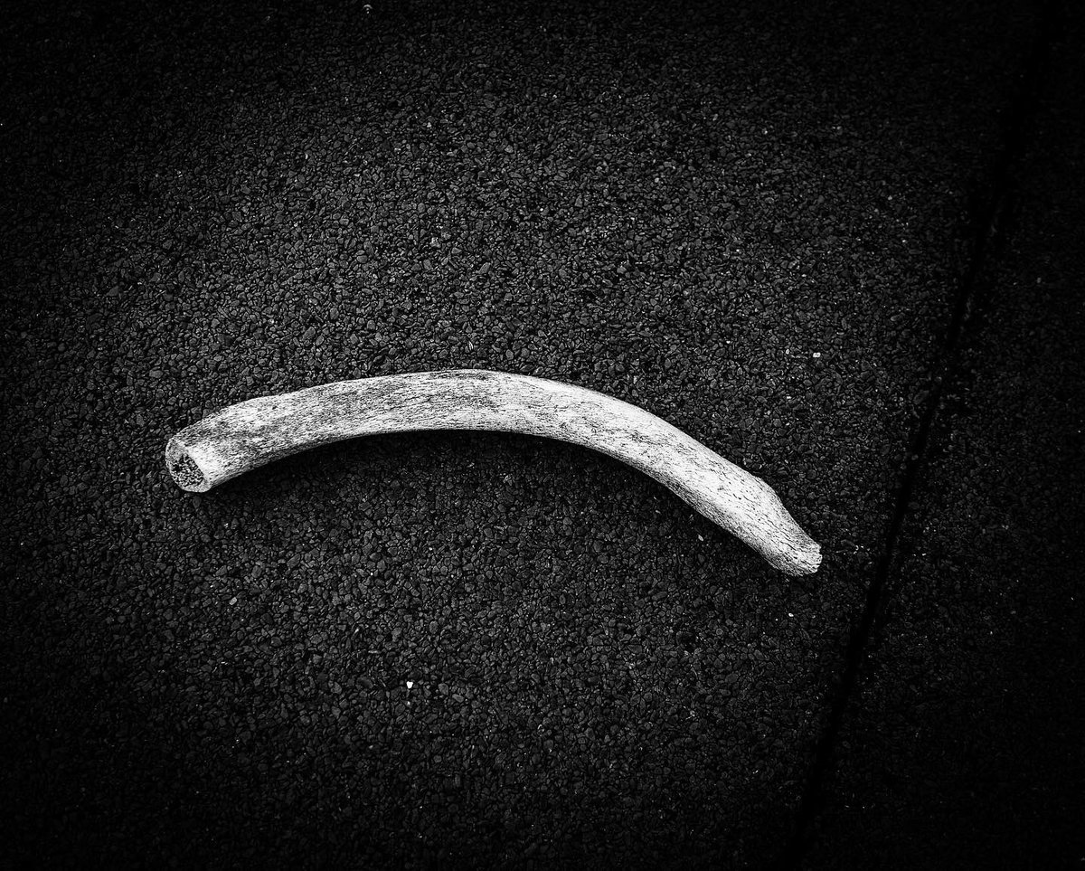 Howly_Smith's tweet photo. #ontheroof #rooftopruejeanmartin #surletoit #blackandwhitephotography #digitalohotography #textures https://t.co/QxfKjpc0B6