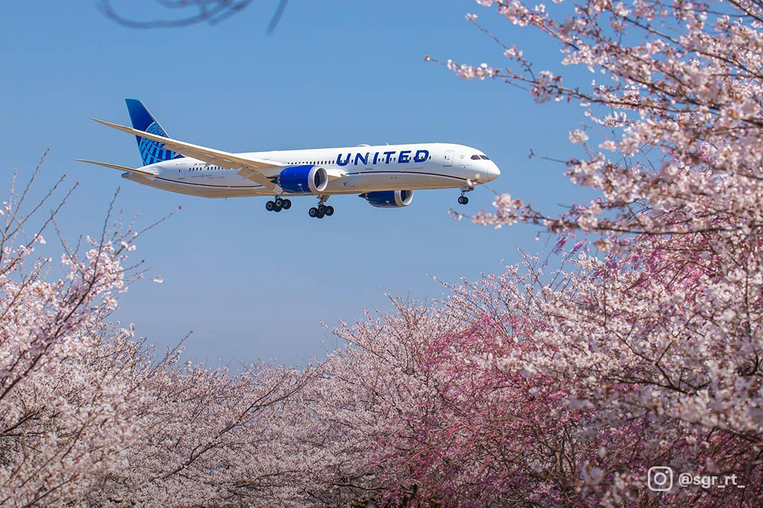 Japan is reopening 🇯🇵 ! Beginning October 11, travelers will be able to visit Japan via two Tokyo-area airports: 🇯🇵 Fly from Chicago or San Francisco to Haneda 🇯🇵 Fly from Houston, LA, New York/Newark or San Francisco to Narita uafly.co/Japan
