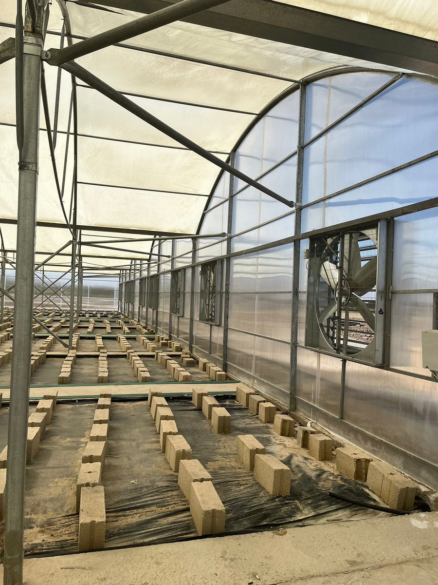 Ecoconsultjo's tweet photo. Excited to share the new, state of the art nursery in Jordan Valley, established by Dawoud Bosais &amp; Yassin Modern Nurseries to produce clean propagation seedlings in Jordan.
#ECOConsult #development #climatecontrol #hightech #propagation #cleanseedlings #JordanValley #innovation https://t.co/bFi6iklKLv