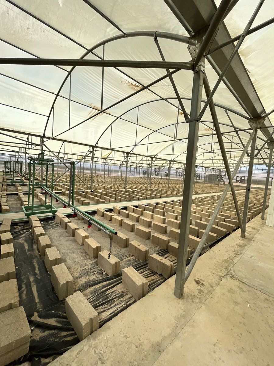 Excited to share the new, state of the art nursery in Jordan Valley, established by Dawoud Bosais &amp; Yassin Modern Nurseries to produce clean propagation seedlings in Jordan.
#ECOConsult #development #climatecontrol #hightech #propagation #cleanseedlings #JordanValley #innovation