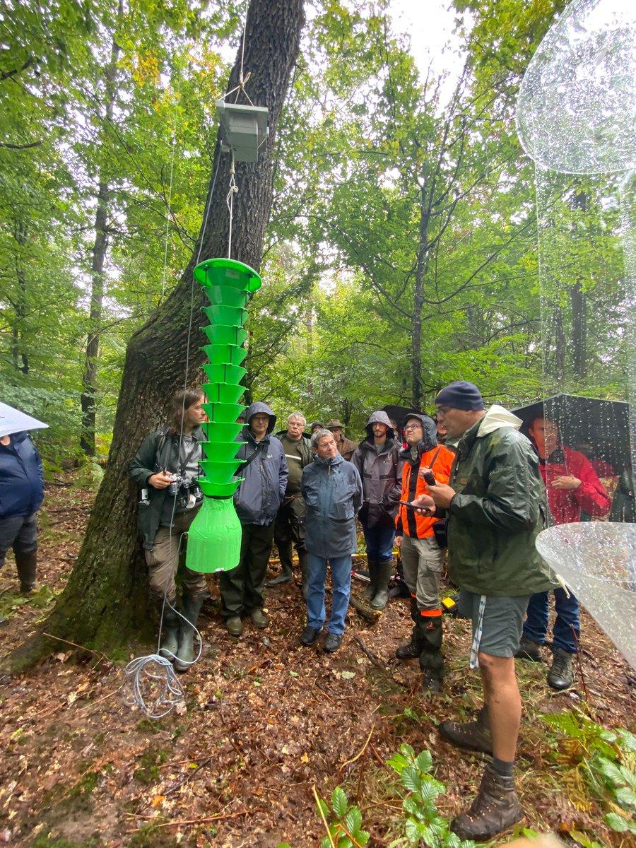 EntomoCentre tweet media