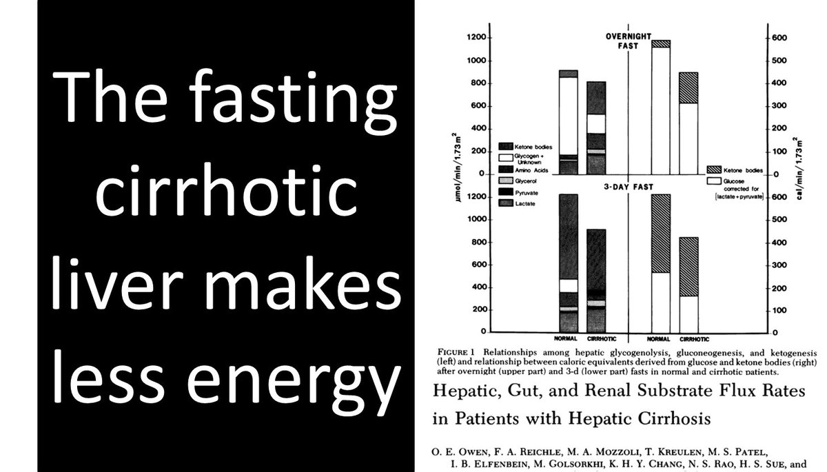 ebtapper's tweet image. The perils of NPO

When a patient with #cirrhosis sleeps, their liver makes less sugar/ketones. It is even worse after 3 days. 

How does the body solve the energy deficit?
Muscle breakdown

1⃣Feed them protein
2⃣Late night snack
3⃣🚫NPO at midnight
#livertwitter