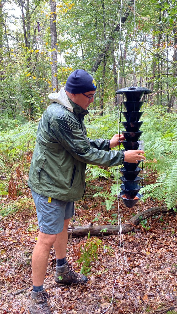 EntomoCentre tweet media