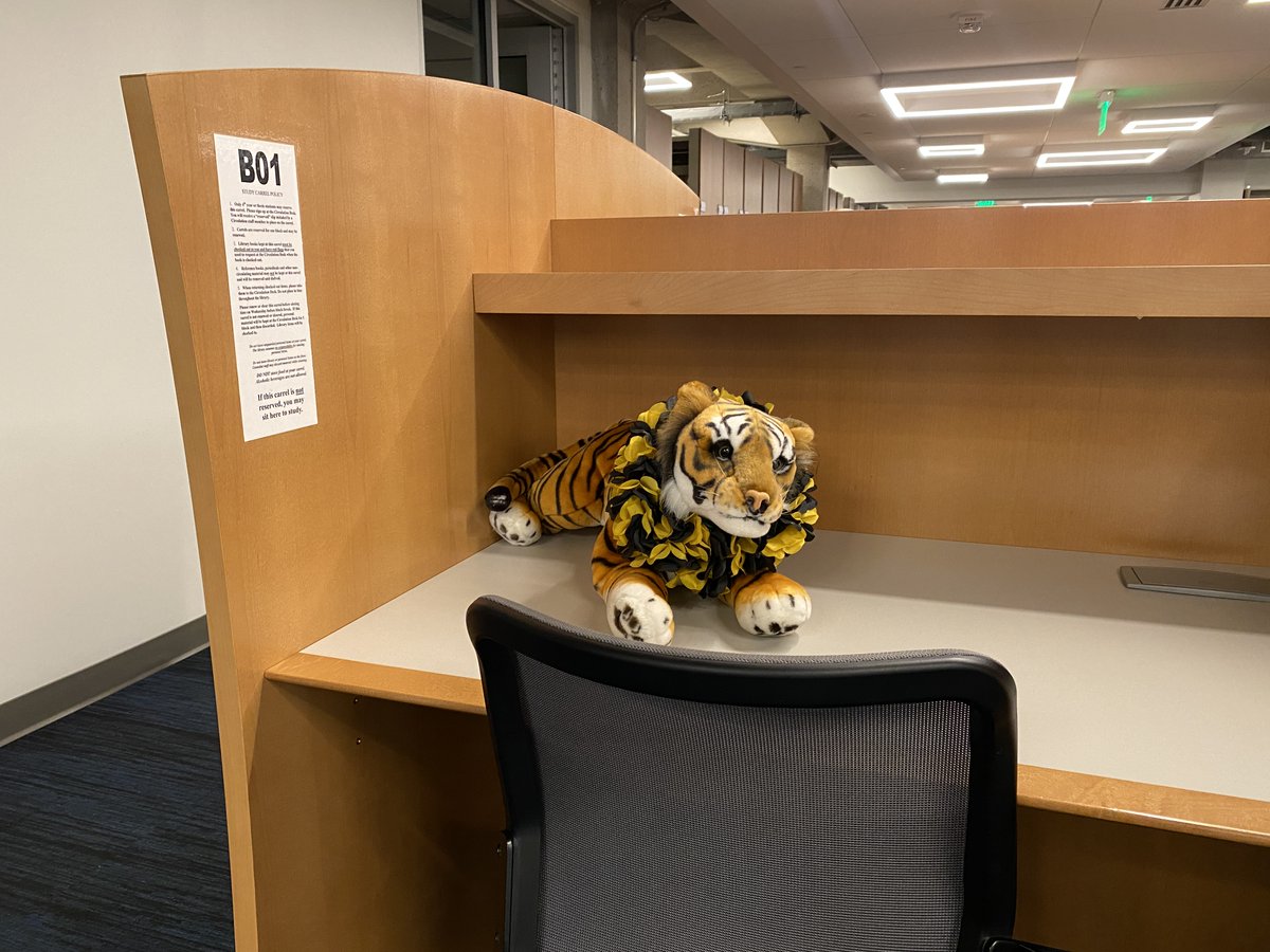 There are so many great places to study in Tutt Library. Study carrels can be reserved by fourth-year students for a block at a time. Info here - coloradocollege.edu/library/borrow… Go to the Circulation Desk when you’re ready to reserve one to work on that thesis or capstone.