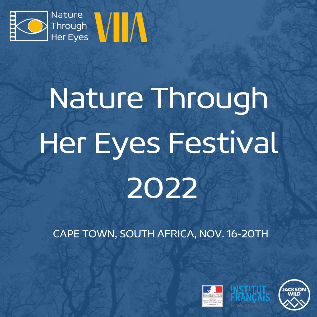 hereyesnature's tweet photo. #naturethroughhereyes #2022edition #capetown https://t.co/FGy87pbKqx