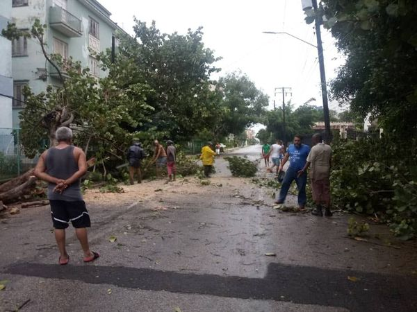 AleLRoss198's tweet photo. La Habana está en recuperación. Los vecinos acumulan arboles caídos, mientras comunales realiza sus labores, mientras brigadas eléctricas de todas las provincias están distribuidas en las provincias de Pinar de Río, Artemisa, La Habana y Mayabeque. #FuerzaPinar #SoyCederista https://t.co/rz7B6i6QoQ