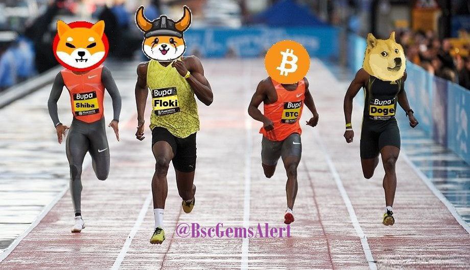 <a href="/Memecoin_daily/">meme-daily</a> <a href="/RichQuack/">QUACK</a> <a href="/RealFlokiInu/">Floki</a> <a href="/catecoin/">CateCoin</a> <a href="/babydoge/"></a> <a href="/Collieinu_token/">Collie Inu Token</a> <a href="/Dejitaru_Tsuka/">Dejitaru Tsuka</a> <a href="/AKITA_network/">Akita</a> <a href="/LakeviewMeta/">LakeView Meta</a> <a href="/VitaInuCoin/">Vita Inu (VINU)</a> <a href="/MicroPetsBSC/">MicroPets 🐶 (Old Account)</a> Vikings cross the bear market and wait for the bull market to take off