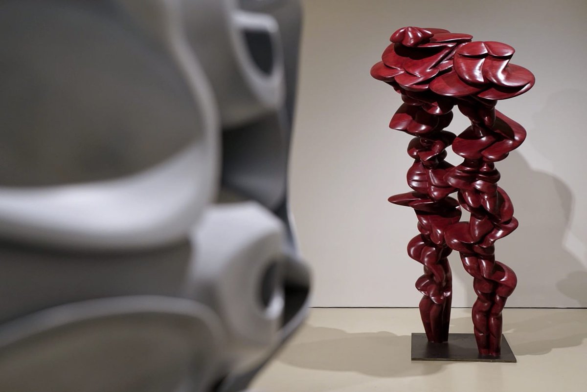 MuseoNovecento's tweet photo. La mostra “#TonyCragg. Transfer” è un vero e proprio omaggio alla #scultura. 
Le sale espositive del Museo Novecento ospitano oltre 100 lavori che vogliono raccontare il processo di elaborazione creativa dell’artista inglese e la sua prolifica e poliedrica attività. https://t.co/ZJKHqAkCDO