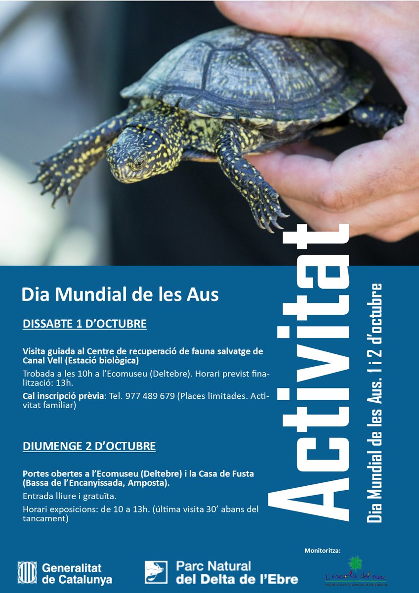 parcscat's tweet photo. ℹ Dia Mundial de les Aus al #PNDeltaEbre
🦩 Visita guiada al Centre de recuperació de fauna salvatge de Canal Vell (Places limitades)
🏛 Portes obertes a l'Ecomuseu i Casa de Fusta (visita lliure i gratuïta a les exposicions)
🗓 Dissabte1 i diumenge 2 d'octubre
@terresebretur https://t.co/s6BcvzZPEL