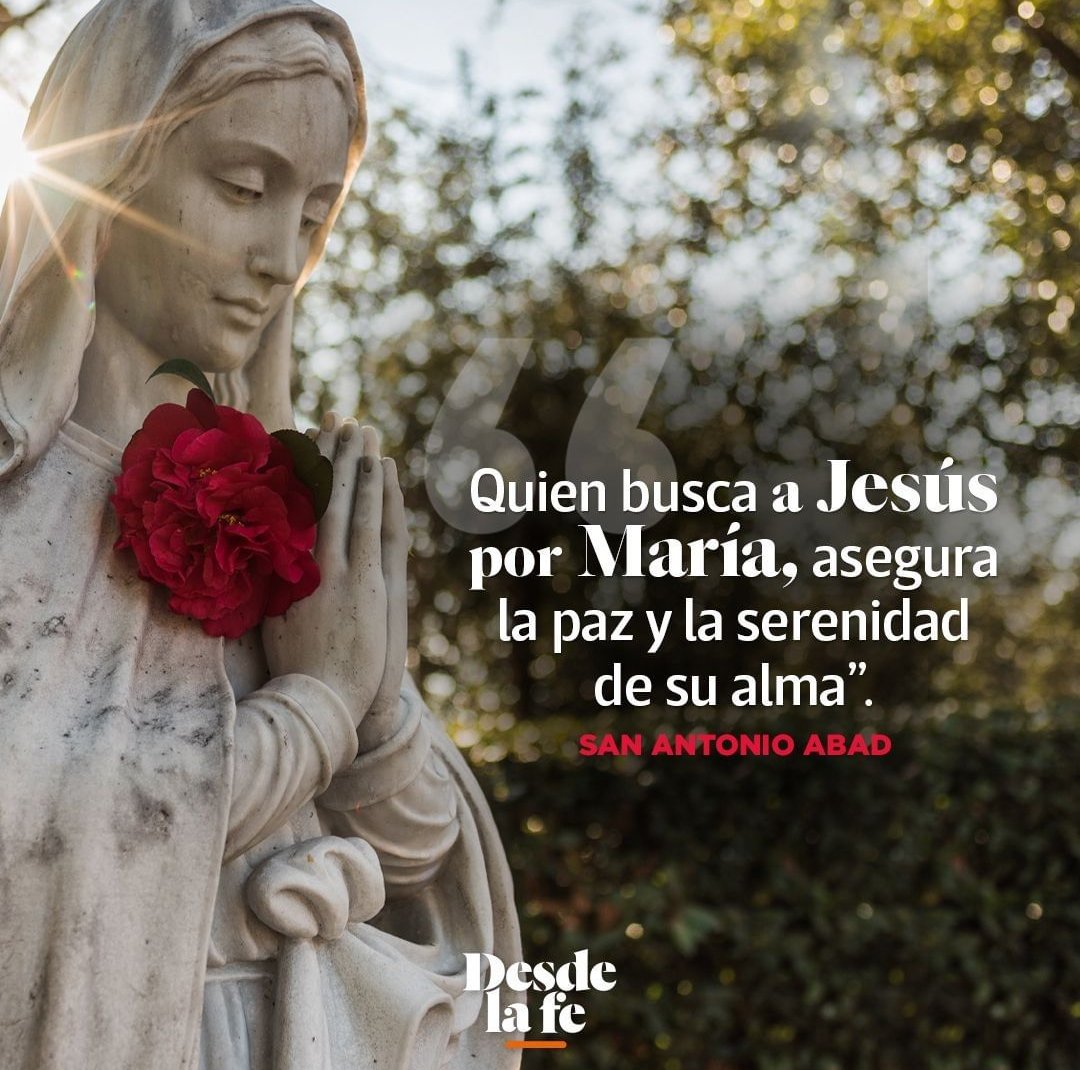 DesdeLaFeMx's tweet photo. No se puede tener a Dios por Padre cuando no se tiene y acepta a María por Madre. 🙏🏻 https://t.co/nDiPZOUXWP