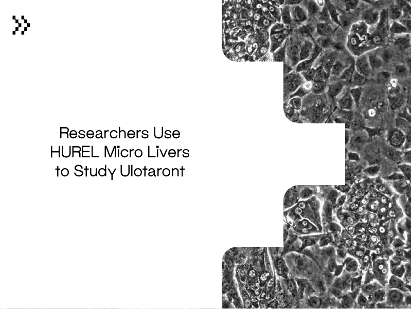 Visikol's tweet photo. Recently, researchers used HUREL micro livers to study Ulotaront, which is currently in clinical development for the treatment of schizophrenia. Read more on their findings here --> https://t.co/1sV6V7EMfg
#Visikol #HUREL https://t.co/E3Y0r3xaEi
