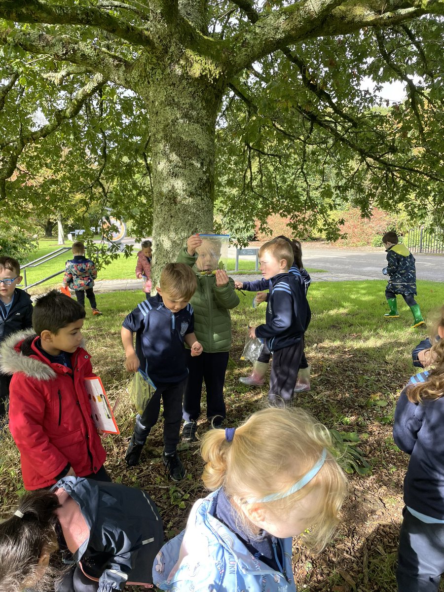 taghmonns's tweet photo. JFK park….what a stunning location for our annual autumn nature walk 🍂🥰🌳 https://t.co/BiSpzIi3tv