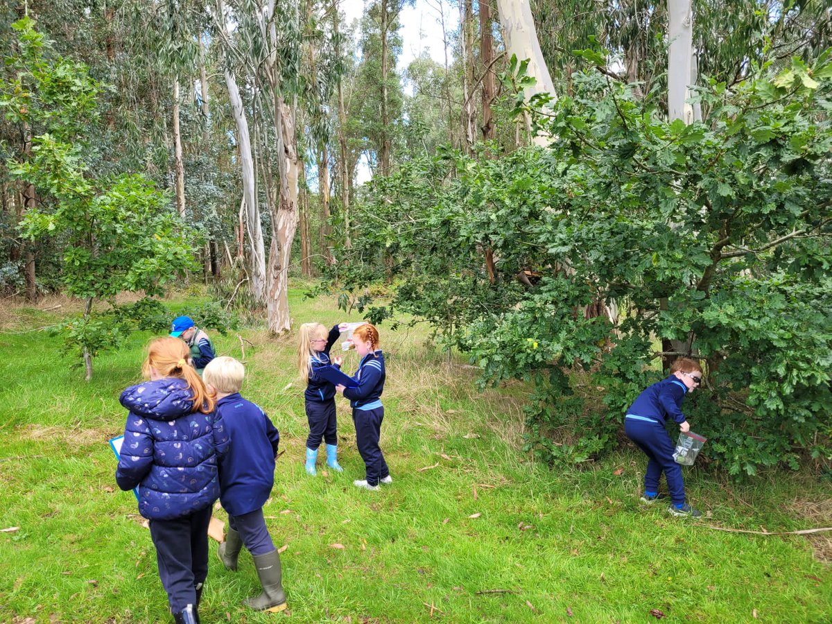 taghmonns's tweet photo. JFK park….what a stunning location for our annual autumn nature walk 🍂🥰🌳 https://t.co/BiSpzIi3tv