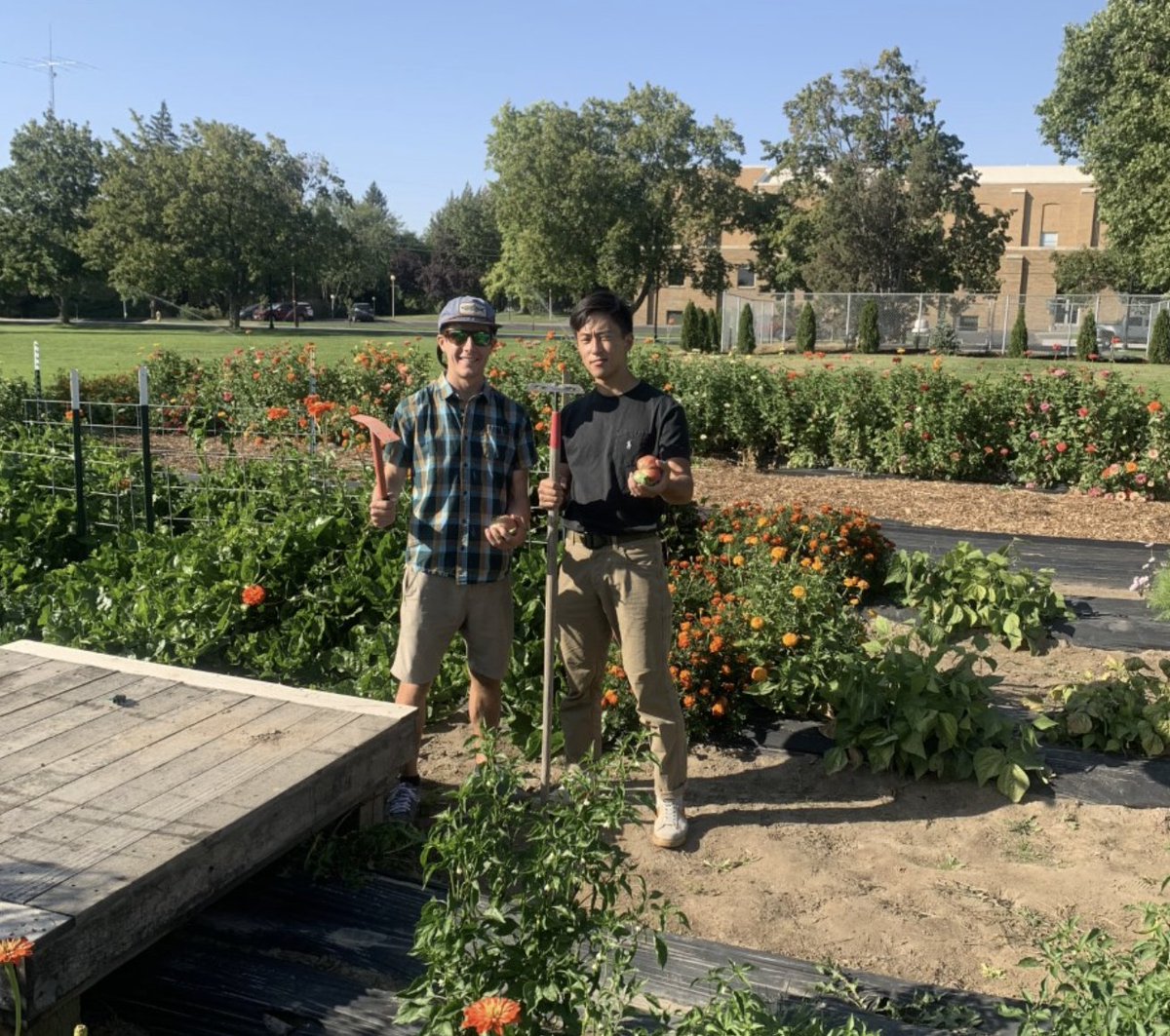 Troy Fitzgerald, pastor for outreach and discipleship at Walla Walla University Church, jump-started the addition of a new garden on campus. He was inspired by Leviticus to create a garden called “The Edge” for the community to share. Read more: wallawalla.edu/news/detail/ne…