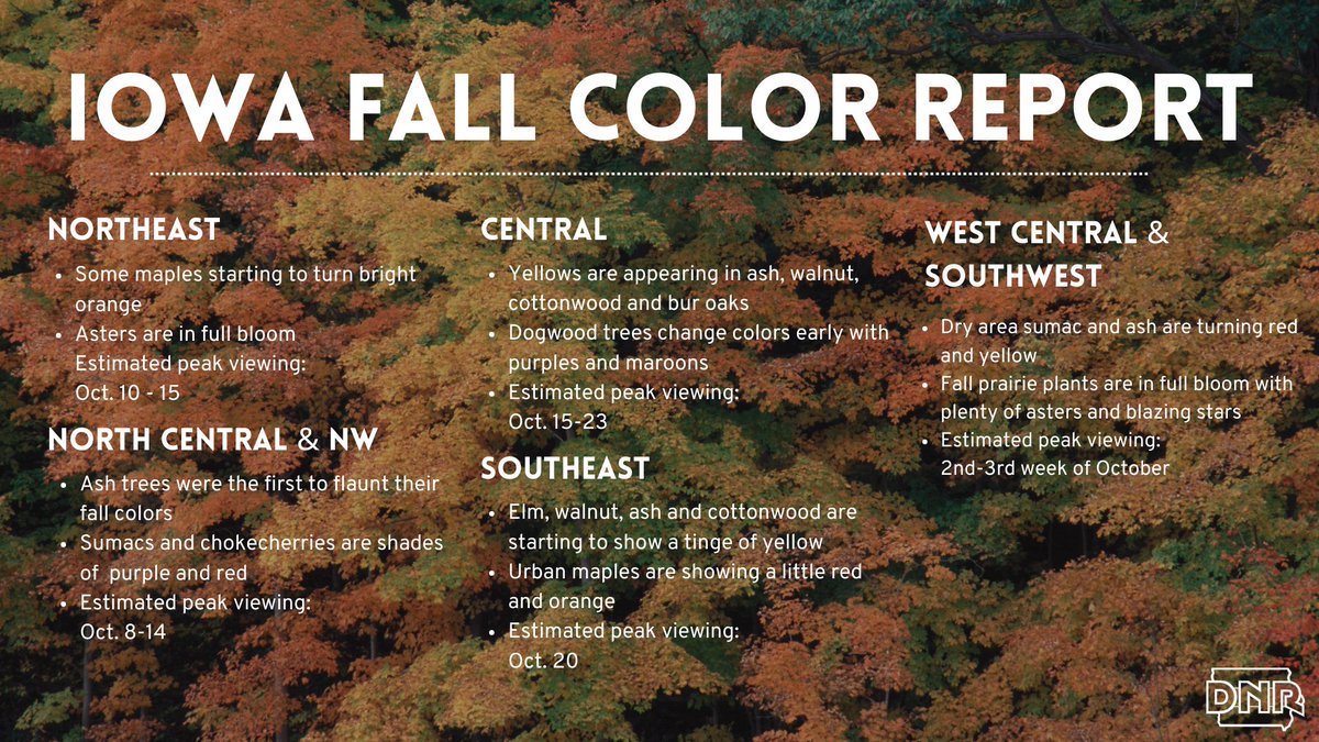 iowadnr's tweet photo. 🎶 it's the most wonderful time of the yearrrrrr 🎶

grab your pumpkin drink of choice, because the weekly fall color report is back! 

full details and weekly updates at https://t.co/gFXfuDAOwS https://t.co/48BPt9lVIu