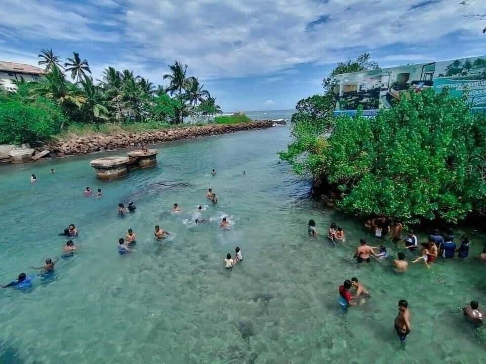 UdithaJeewanth's tweet photo. ගොවියපාන | Goviyapana 😍😍😍🇱🇰
නාන්න මරු තැනක් 🏊‍♀️🌊♥️💚

#festival #matara #Galle #south  #FestivalTown #FastivalMonthly #trending #travel #TFun #nature #instagram #Tiktok #Youtube https://t.co/FwtDgoIQMz