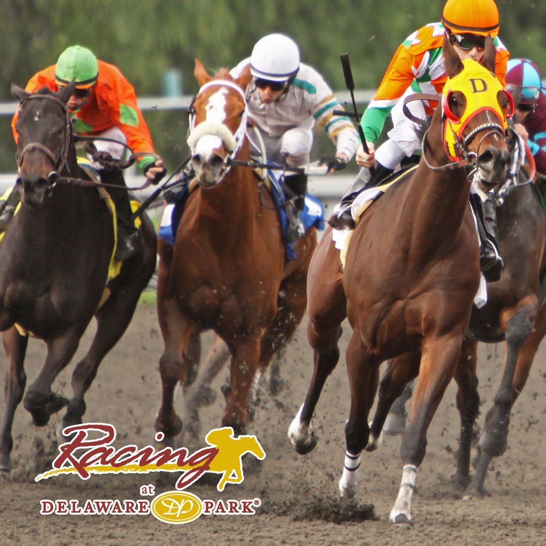 delaware-park-casino-racing-on-twitter-jockey-mychel-sanchez-is