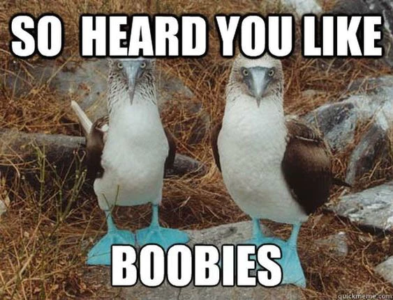 Join us! #boobies
