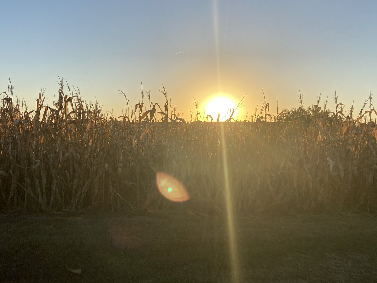 Those BIG skies!  Good morning, Kansas!  💛