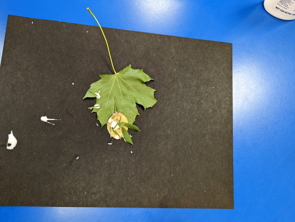 jagreenMW11's tweet photo. We used our creativity and imagination to turn leaves into something else! Here are some mice and a chicken. https://t.co/zTU23iB7So