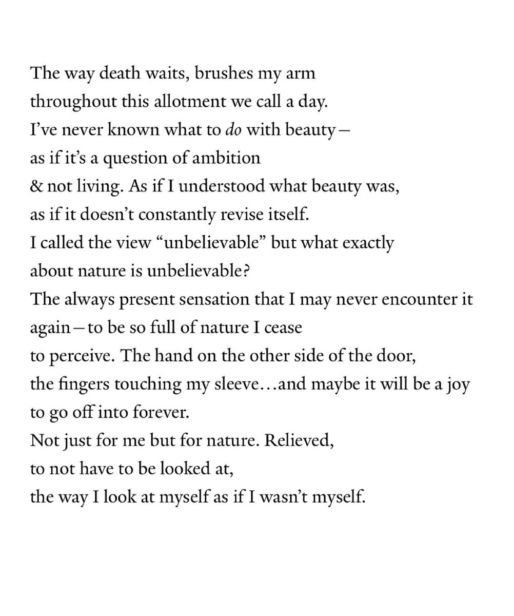 in which I melodramatically announce I no longer believe in epiphanies…thank you to @YaleReview for featuring my poem as their poem of the week! 

yalereview.org/article/lena-m…