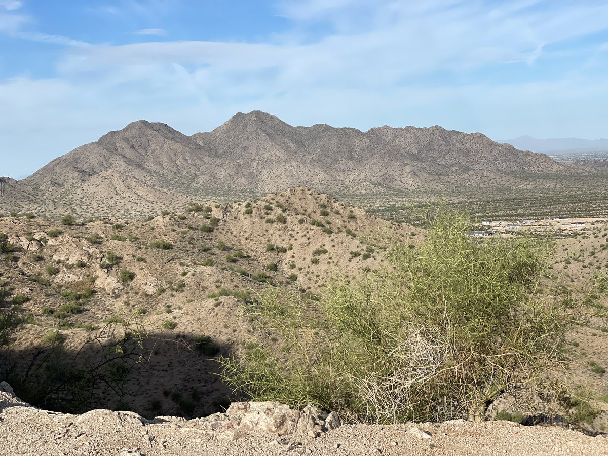 maicadk's tweet photo. Brought my hiking partner today!🥾⛰️🦮#dogsthathike #dogsoftwitter #dogsofinstagram #hiking #azfall #desertliving https://t.co/I5oTnmY9v5