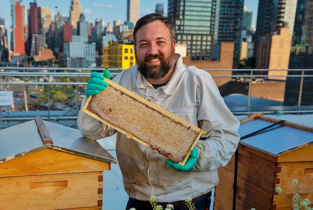 blueskybees's tweet photo. New York City might be the last place you'd think colonies of honeybees would call home. Queens-based beekeeping master Nick Hoefly of @astorapiaries  shared with us his ongoing journey as a beekeeper on the rooftops of NYC.
https://t.co/Qczn9RzmjZ
#beekeeper #urbanfarming https://t.co/wBcOcuuqEq