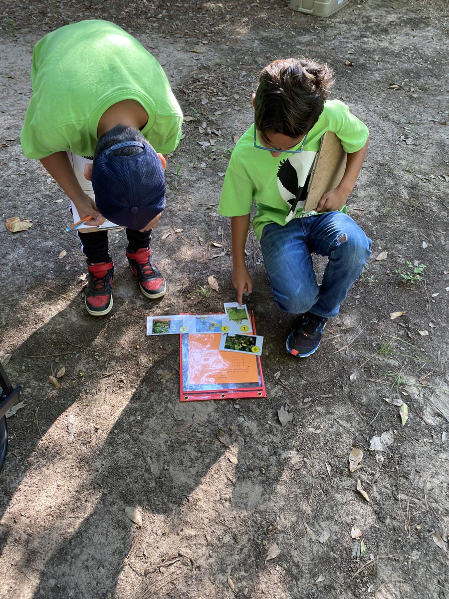 frenchsclass's tweet photo. Out at @CFISDScience Nature Trails w/ our @rennellredhawks 3rd &amp; 5th graders….beautiful weather &amp; loving it!! #WeAreRennell https://t.co/8LMVQYjJur