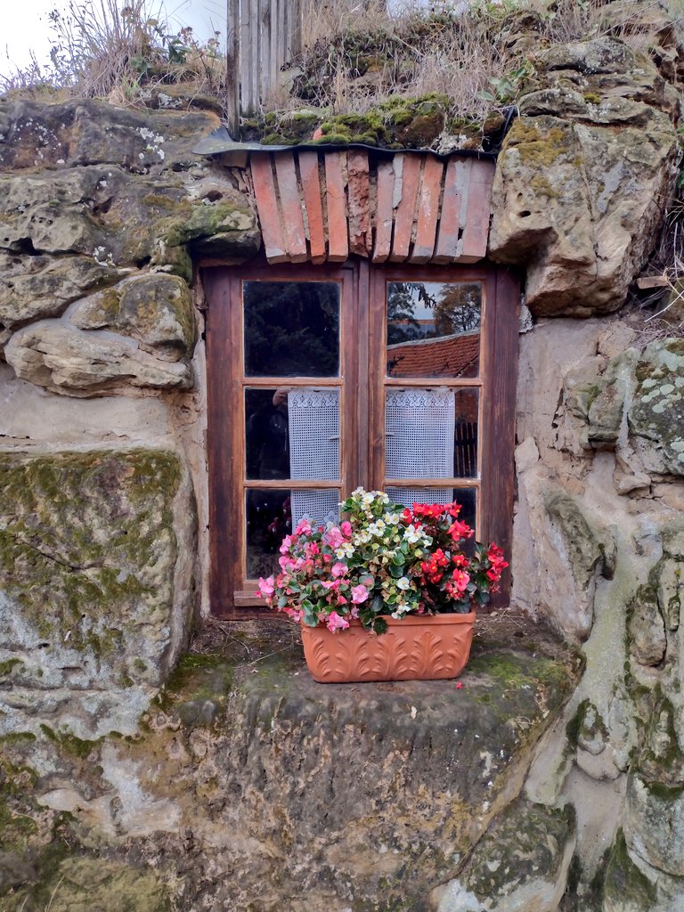 squirrelpics1's tweet image. Die Felsenwohnungen #Langenstein Wirklich sehenswert 😊