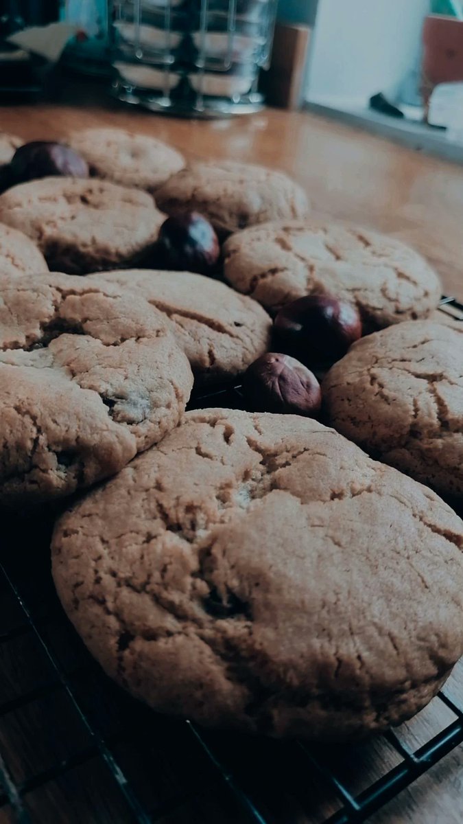 🍪🍁🐿️ #autumn #cookie #BakeOff