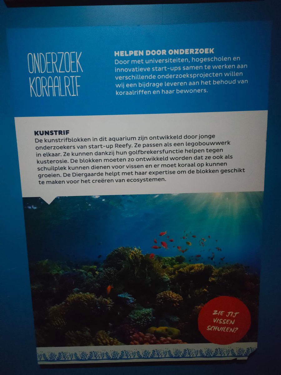 Mooie samenwerking/pilots met innovatieve start-ups Reefy en Urban Reef, Gemeente Rotterdam en Diergaarde Blijdorp: onderzoek naar behoud van koraalriffen + haar bewoners en om groen te bevorderen in de stad <a href="/iburo010/">Ingenieursbureau Rotterdam</a> <a href="/Stadsbeheer010/">Stadsbeheer010</a> <a href="/Stadmaken010/">Stadsontwikkeling Rotterdam</a> <a href="/duurzaam010/">Rotterdam Duurzaam</a> <a href="/College010/">B en W Rotterdam</a>
