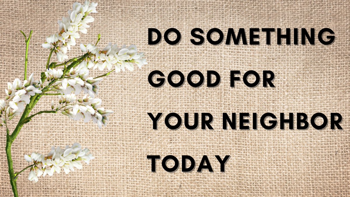 TLC Properties tweet media