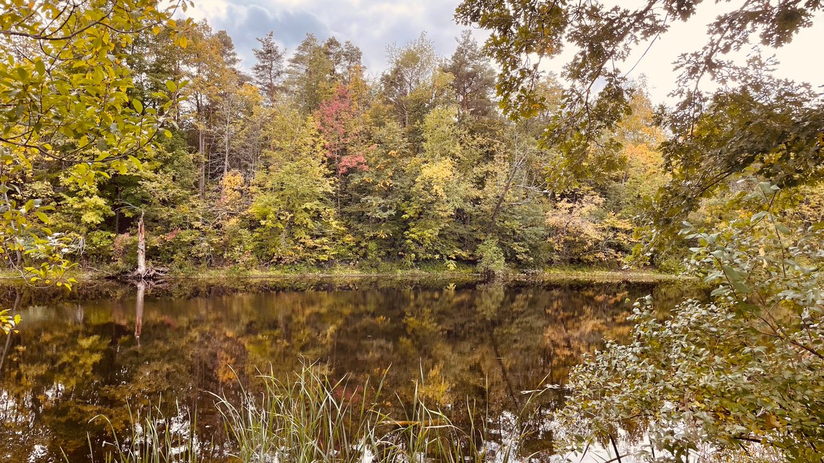 GarrickWard24's tweet image. Growing up I spent a lot of time in beautiful Hearts Desire in #Barrhaven East &amp;amp; walking around here knocking on doors, I was able to take some pics to show just how unique this area is. 😍 I heard your concerns loud &amp;amp; clear and agree that they need to be addressed at city hall.
