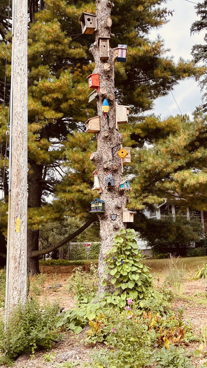 GarrickWard24's tweet image. Growing up I spent a lot of time in beautiful Hearts Desire in #Barrhaven East &amp;amp; walking around here knocking on doors, I was able to take some pics to show just how unique this area is. 😍 I heard your concerns loud &amp;amp; clear and agree that they need to be addressed at city hall.