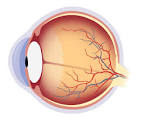 RAMI (@ramireland) on Twitter photo CALL FOR ABS_Ophth Meeting, Friday, 18th Nov 2022
All details rami.ie/event/ophthalm… CALL FOR ABS_Ophth Meeting, Friday, 18th Nov 2022
All details rami.ie/event/ophthalm…