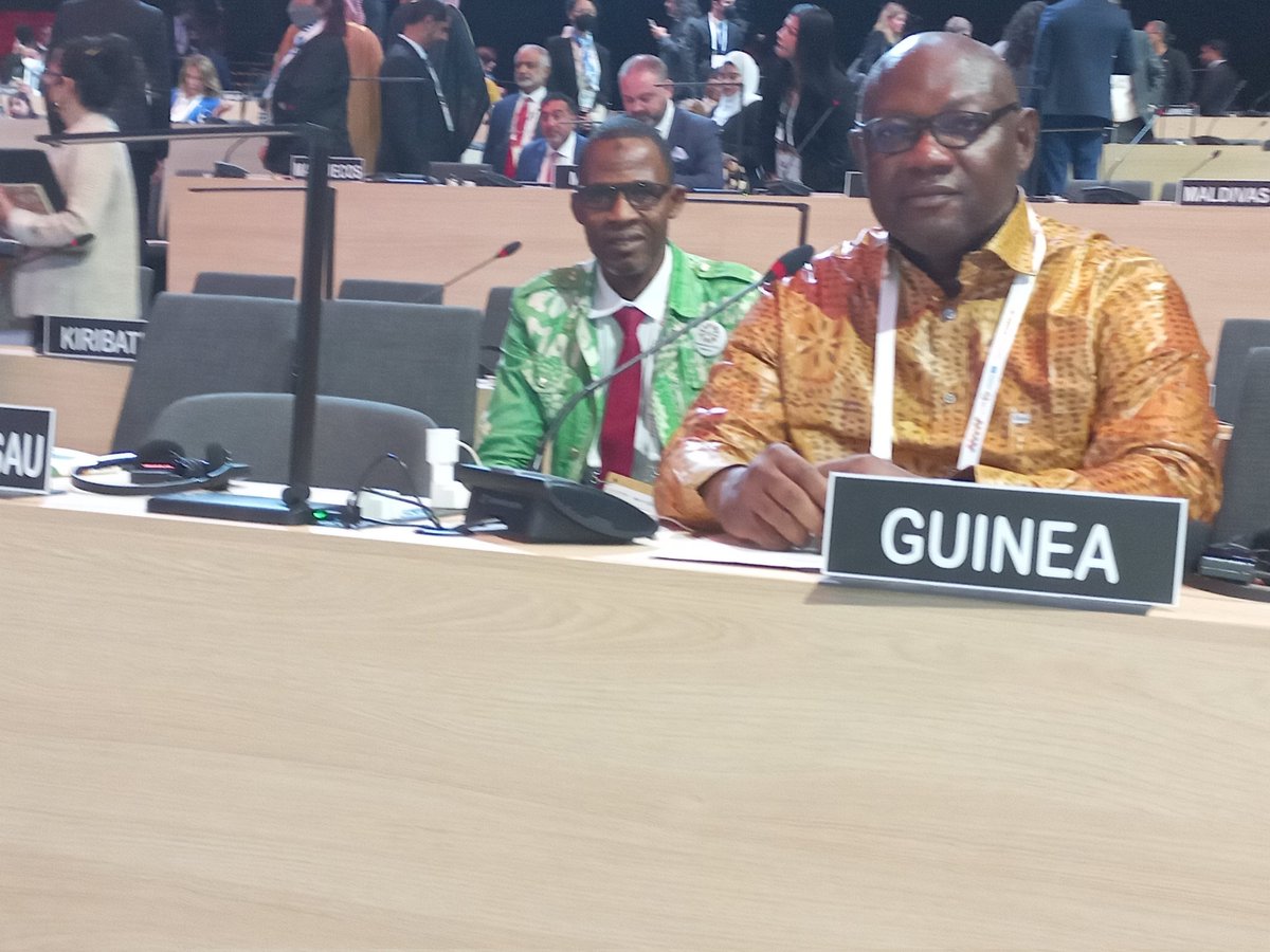 Alpha Soumah (Bill de Sam) tweet media