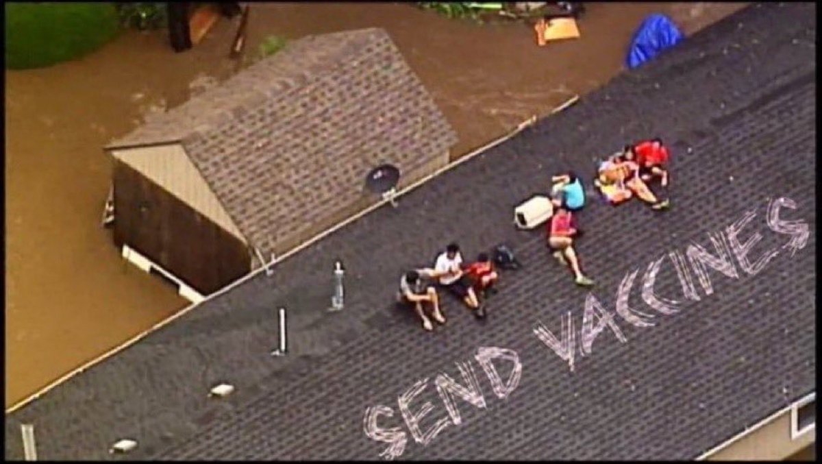 Kenny Webster tweet media