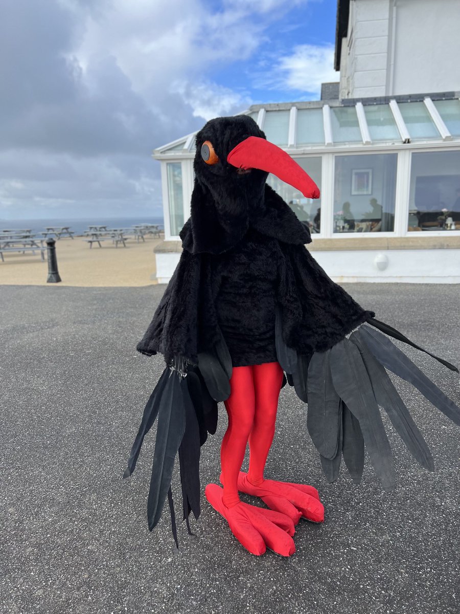 𝓖𝓻𝓮𝔂𝓵𝓪𝓴𝓮 𝓑𝓲𝓻𝓭𝓮𝓻 tweet media
