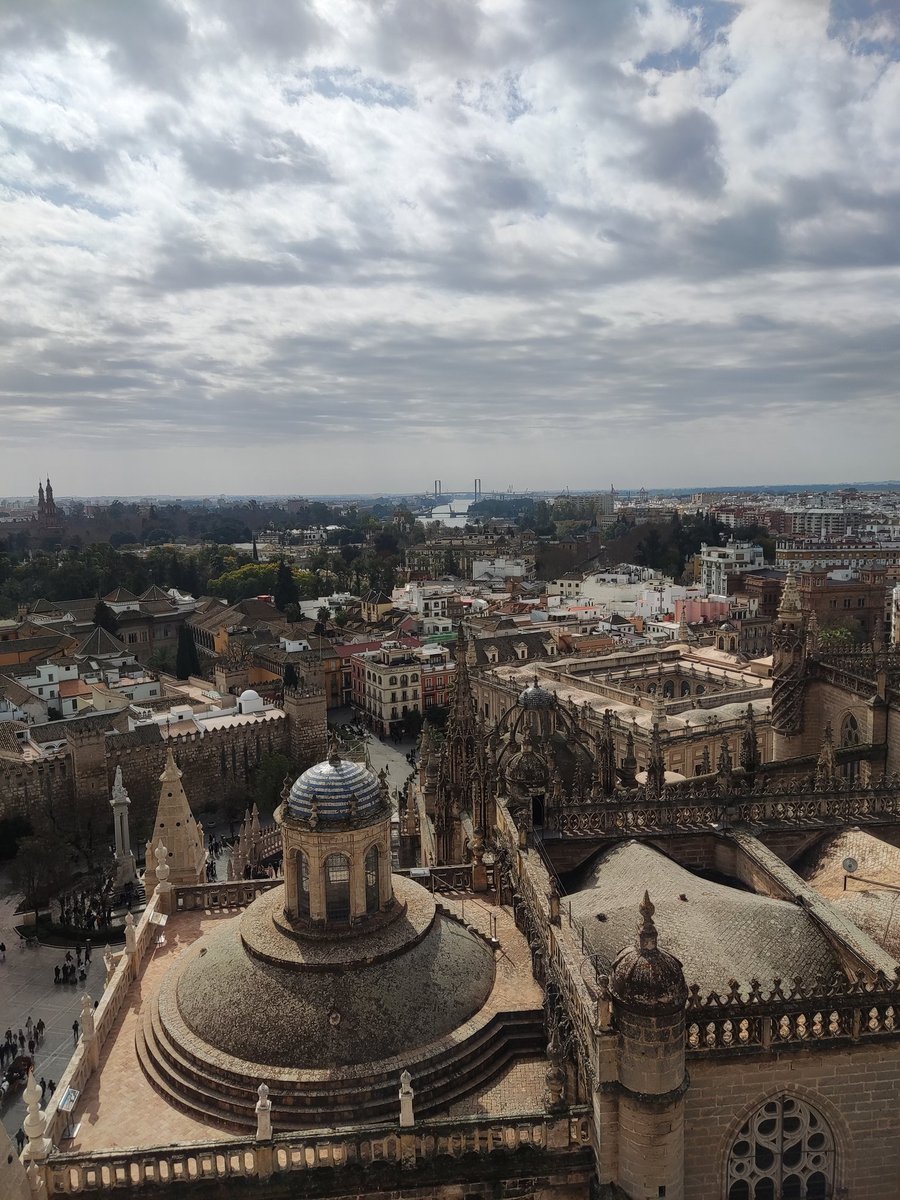anahidalgoserna's tweet photo. #52de2022 #39de52 #delejos @mongeleon y allá a lo lejos, un puente, un río... Quién lo pudiera volver a cruzar? Quién volviera a pasear por Sevilla? Sin prisa, sin pausa... https://t.co/cUfH3VKXOt
