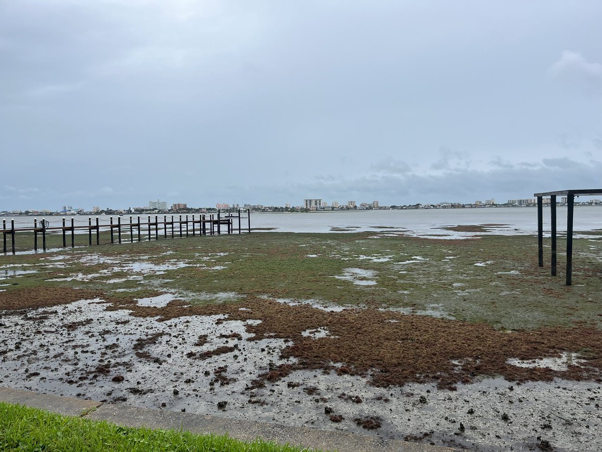 TroMcManus's tweet photo. Here is the “reverse storm surge” phenomenon in Clearwater Harbor as Hurricane Ian sucks water away from shores around Tampa Bay

Read about it here https://t.co/YOt33zlX0b

(Yes I’m safe, I took probably the last opportunity to give my dogs a good walk before things get bad) https://t.co/AIf0cdRxYh