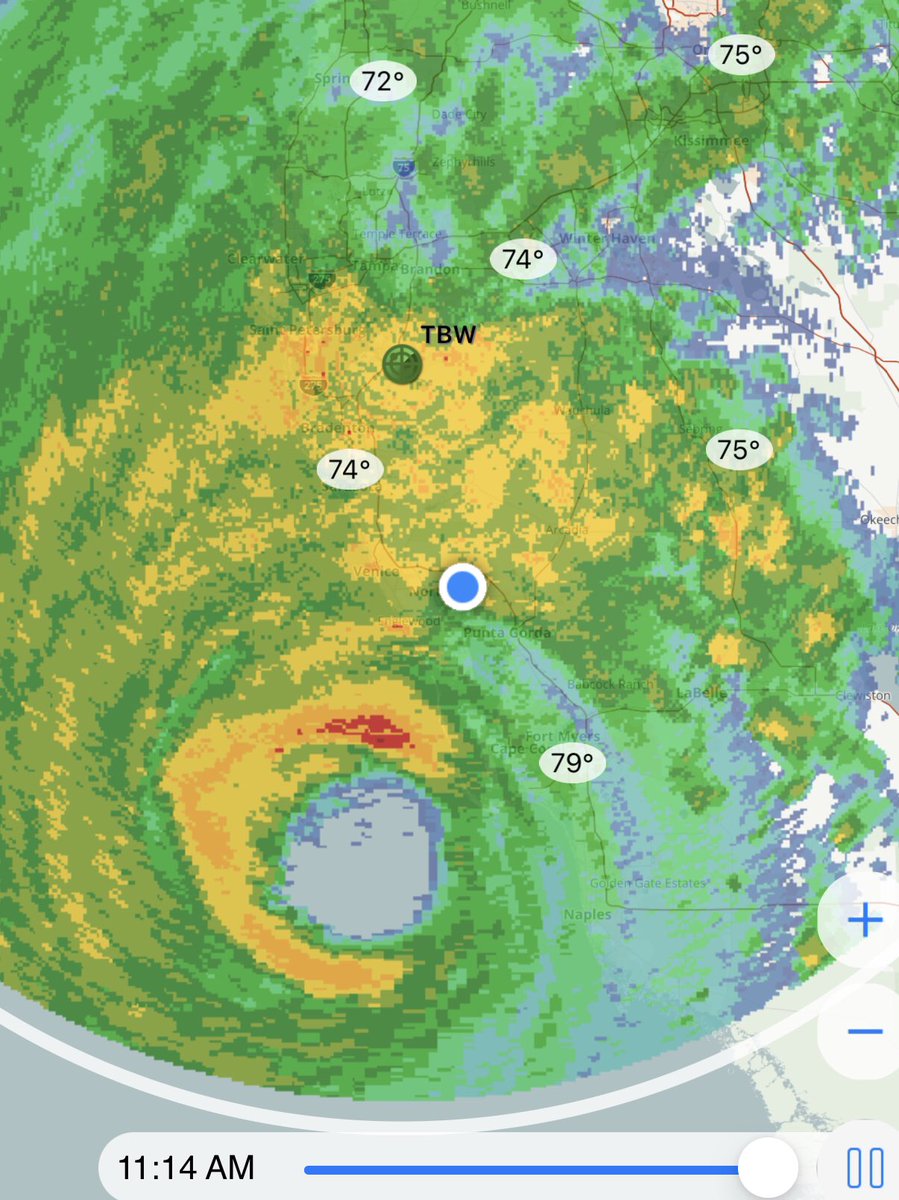 Josh Taylor tweet media