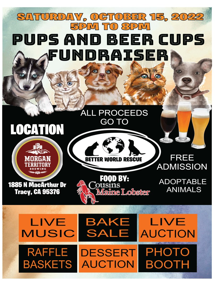 Better World Rescue is having a fundraising event next month to help support the influx of dogs and cats. Better World is a 501(c)(3) and focuses on San Joaquin County. Please consider stopping by, donating, volunteering, or fostering. betterworldrescue.org/donate