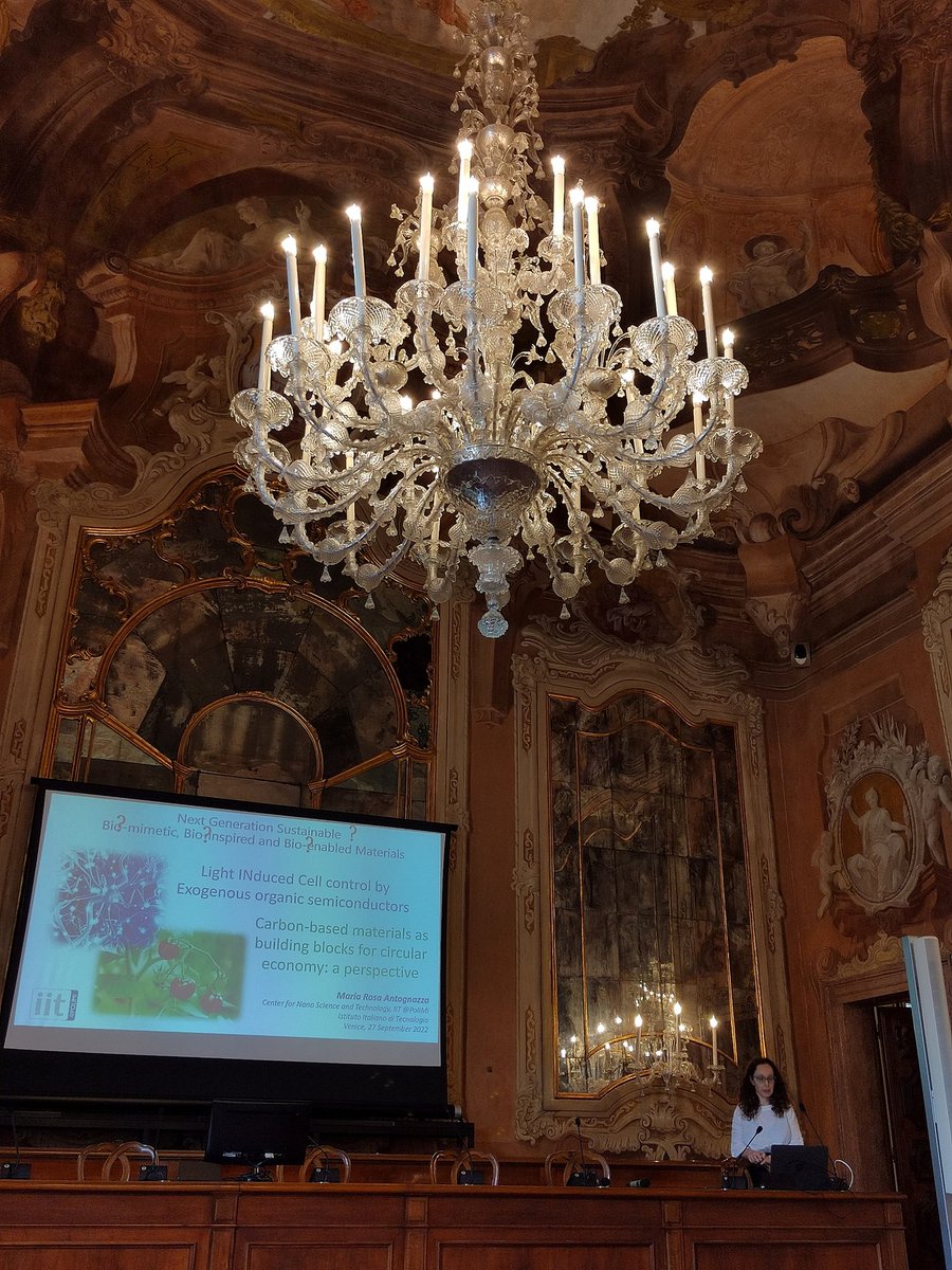 RosyAntognazza's tweet image. Are carbon-based materials a valuable pathway towards #sustainable biotechnologies?

Discussing about #circulareconomy at the &quot;Next-generation Sustainable Bio-mimetic,Bio-inspired and Bio-enabled Materials&quot; workshop in the wonderful @CaFoscari in Venice.