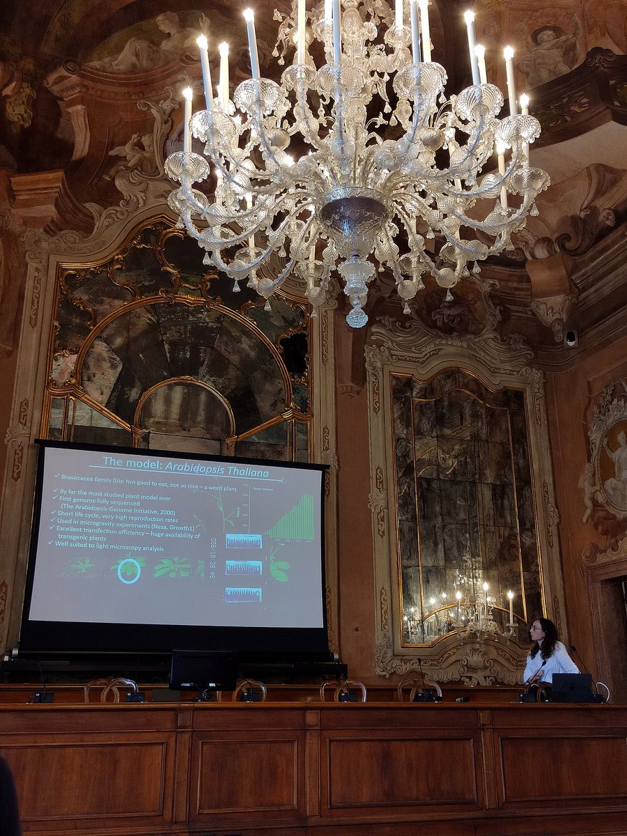 RosyAntognazza's tweet image. Are carbon-based materials a valuable pathway towards #sustainable biotechnologies?

Discussing about #circulareconomy at the &quot;Next-generation Sustainable Bio-mimetic,Bio-inspired and Bio-enabled Materials&quot; workshop in the wonderful @CaFoscari in Venice.